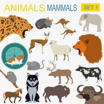 Animals mammals icon set. Vector flat style Illustrazione stock