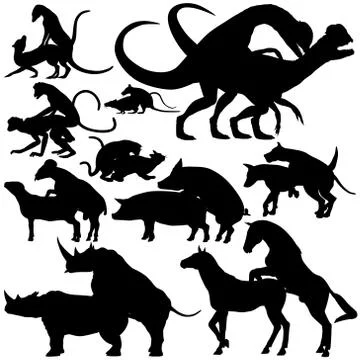 Animals mating Stock-Illustration