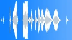 Animals Monkeys Gorillas Chimps Animals-Monkeys Gorillas Chimps-Chimpanzee SingSound Effect