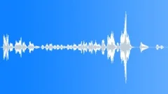 Animals Monkeys Gorillas Chimps Animals-Monkeys Gorillas Chimps-Chimpanzee SingSound Effect