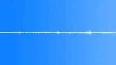 Animals Monkeys Gorillas Chimps Capuchin Enclosure Calm Atmosphere Some Vocal C Sound Effect