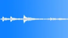Animals Monkeys Gorillas Chimps Chimpanzee Single Vocal Calls Barks Panting BreSound Effect