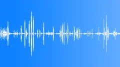 Animals Monkeys Gorillas Chimps Chimpanzee Single Vocal Calls Screech Barks ChiSound Effect