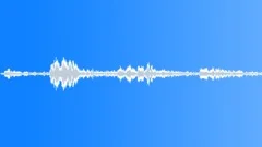 Animals Monkeys Gorillas Chimps Chimpanzee Single Vocal Calls Sob Calm PlasticSound Effect