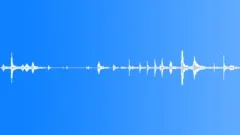 Animals Monkeys Gorillas Chimps Chimpanzee Single Vocal Calls Throaty Panting CSound Effect