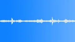 Animals Monkeys Gorillas Chimps Chimpanzee Single Vocal Calls Very Calm Barks PSound Effect