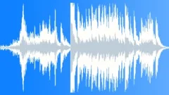Animals Monkeys Gorillas Chimps Chimpanzee Two Vocal Calls Sudden Woos ExcitedSound Effect