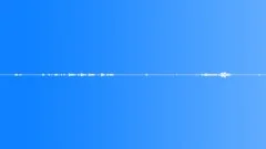Animals Monkeys Gorillas Chimps Chimpanzee Single Vocal Calls Barks Ve Sound Effect