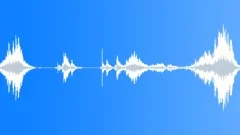 Animals Monkeys Gorillas Chimps Chimpanzee Two Vocal Calls Barks DeepSound Effect