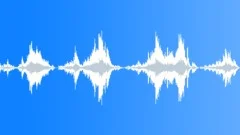 Animals Monkeys Gorillas Chimps Chimpanzee Two Vocal Calls Barks Scree Sound Effect