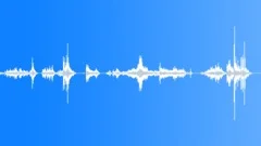 Animals Monkeys Gorillas Chimps Chimpanzee Two Vocal Calls Barks Shrie Sound Effect