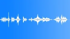 Animals Monkeys Gorillas Chimps Chimpanzee Two Vocal Calls Barks Shrie Sound Effect