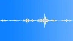 Animals Monkeys Gorillas Chimps Chimpanzee Two Vocal Calls Barks WhineSound Effect