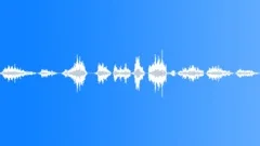 Animals Monkeys Gorillas Chimps Howler Monkey Long Howls Growls x10 Low Deep Th Sound Effect