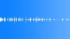 Animals Monkeys Gorillas Chimps Ring Tailed Lemur Vocal Chirps High Pitched AnxSound Effect