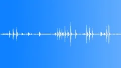 Animals Monkeys Gorillas Chimps Spider Monkey Male Adult Vocal Calls Smooth CalSound Effect