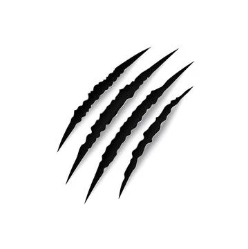Animals nails trace, sharp scratches claw isolated Stock Illustration
