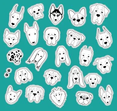 Animals patch collection of purebred dogs. patches Stock Illustration