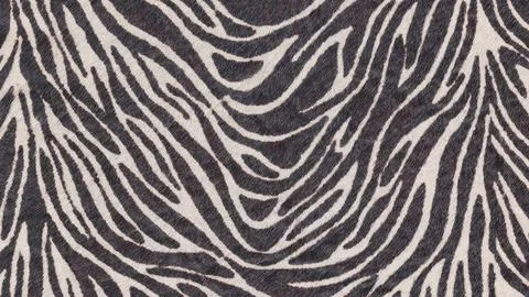 Animals Pattern, Black and white stripe zebra skin like pattern Stock Photos