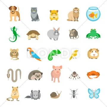 Animals pets vector flat colorful icons set Stock Illustrationen