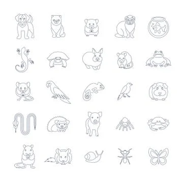 Animals pets vector flat thin line icons set Stock Illustration