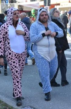 Animals Stock Photos