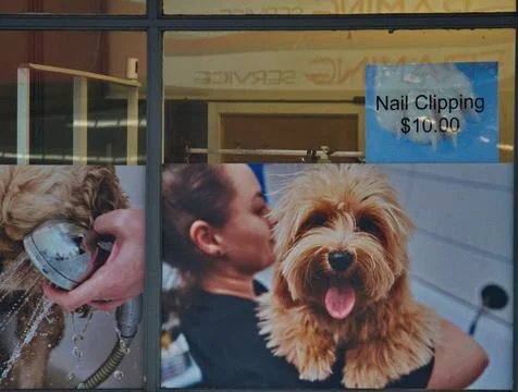 Animals 写真素材