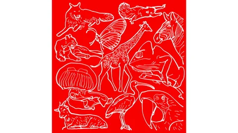 Animals - Red Square (HD) Video stock 37178019