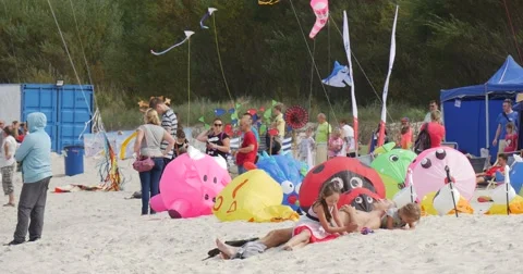 Animals resting on beach - People Preparing to Fly Kites and Air Swimmers on Stock Footage 54193204