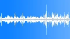 Animals Sea Lions Herd Med Dist Bulls Growl Excited Pups Call - waves in backgr Sound Effect