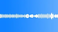 Animals Sea Mammals Dolphins Bottlenose Single Vocal Calls Yells Screeches ContSound Effect