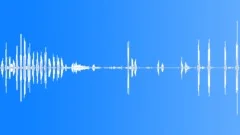 Animals Sea Mammals Dolphins Bottlenose Single Vocal Calls Sing Loud Sound Effect