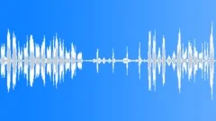Animals Sea Mammals Dolphins Bottlenose Single Vocal Calls Sing Throat Sound Effect