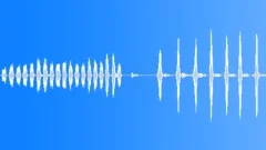 Animals Sea Mammals Dolphins Bottlenose Single Vocal Calls Sing Throat Sound Effect