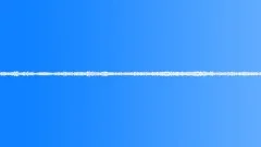Animals Sea Mammals Dolphins Herd Vocal Calls Chirps Different Intensities LengSound Effect