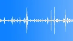 Animals Sea Mammals Dolphins Underwater Echo Location Clicks Nice Clatter BuzzSound Effect