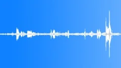 Animals Sea Mammals Dolphins Underwater Echo Location Clicks Soft Clatter BuzzSound Effect