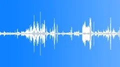 Animals Sea Mammals Dolphins Underwater Echo Location Clicks Sharp Clatter BuzzSound Effect