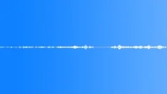 Animals Sea Mammals Dolphins Underwater Echo Location High Pitched Clicks Very Sound Effect