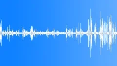 Animals Sea Mammals South American Sea Lions Fur Seal Herd Bay Vocal Calls Alph Sound Effect