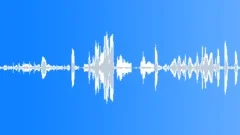 Animals Sea Mammals Whales Orca Vocal Calls Sing Whistles Yells Cries Sad DespeSound Effect