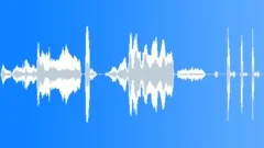 Animals Sea Mammals Whales Orca Single Vocal Calls Sing Yells WhistleSound Effect
