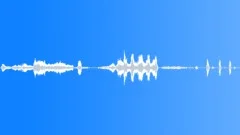 Animals Sea Mammals Whales Orca Single Vocal Calls Sing Yells WhistleSound Effect