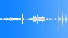 Animals Sea Mammals Whales Orca Single Vocal Calls Sing Yells WhistleSound Effect