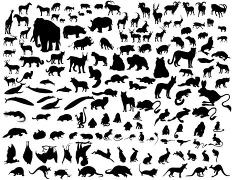 Animals set Stock Illustration