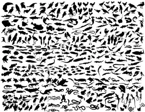 Animals set Stock Illustration