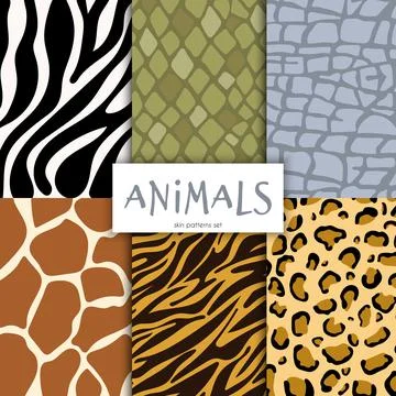 Animals skin patterns set. Handdrawn vector illustration. Illustrazione stock