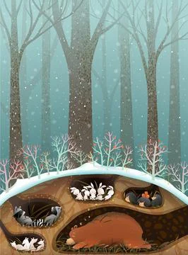 Animals Sleeping in Dens and Burrows in Forest Stock Illustration