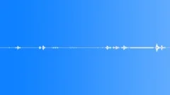 Animals stag roaring with crow in background stereoXYSound Effect