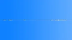 Animals stag roaring multiple times with different horror style bird stereoXYSound Effect